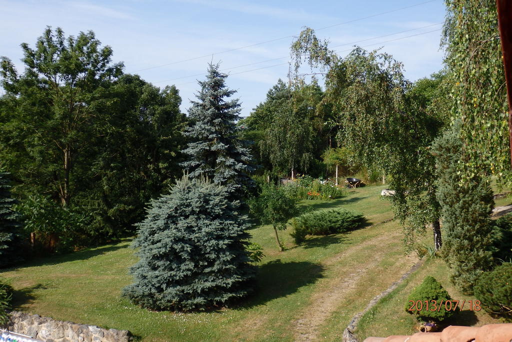Villa Blanka Horní Podkozí Εξωτερικό φωτογραφία