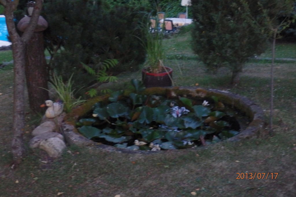 Villa Blanka Horní Podkozí Εξωτερικό φωτογραφία