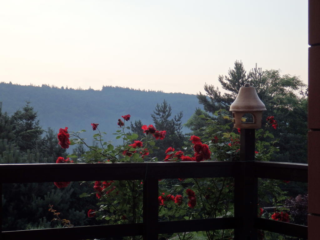 Villa Blanka Horní Podkozí Εξωτερικό φωτογραφία