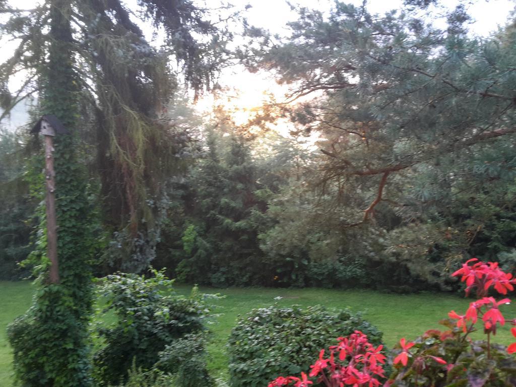 Villa Blanka Horní Podkozí Εξωτερικό φωτογραφία
