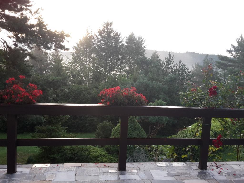 Villa Blanka Horní Podkozí Εξωτερικό φωτογραφία