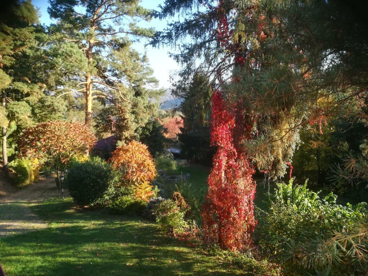 Villa Blanka Horní Podkozí Εξωτερικό φωτογραφία