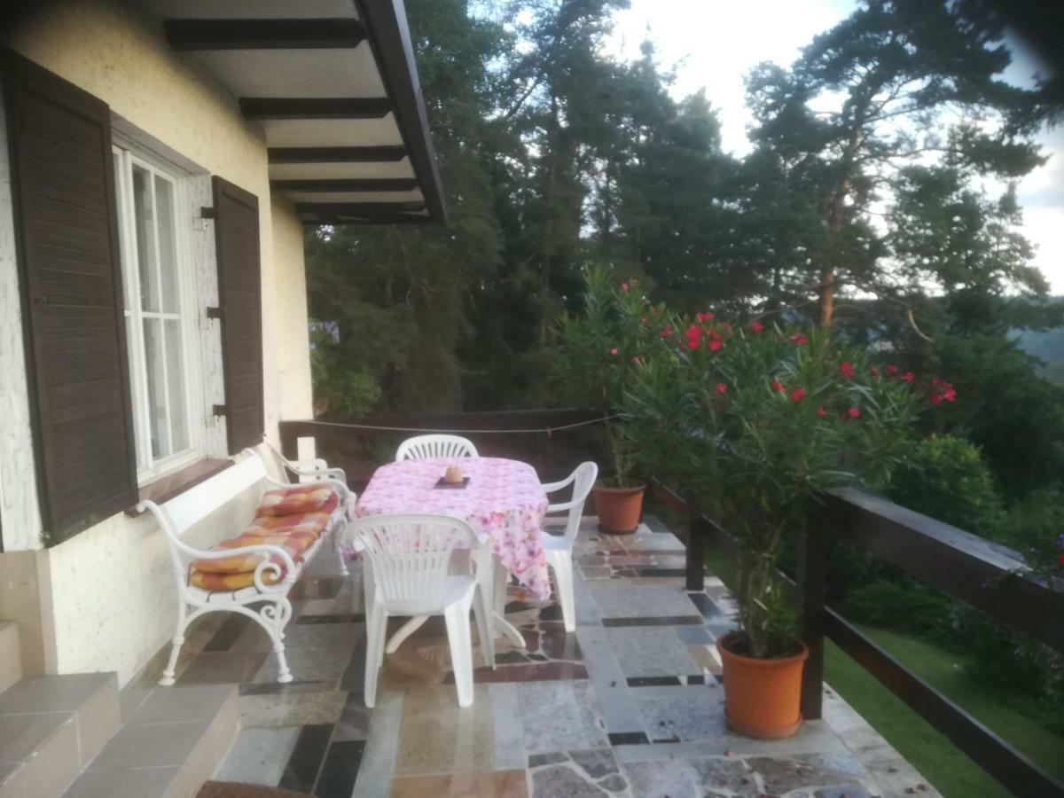 Villa Blanka Horní Podkozí Εξωτερικό φωτογραφία